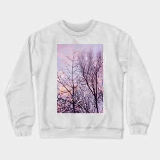 Barren trees ~ evening sky Crewneck Sweatshirt